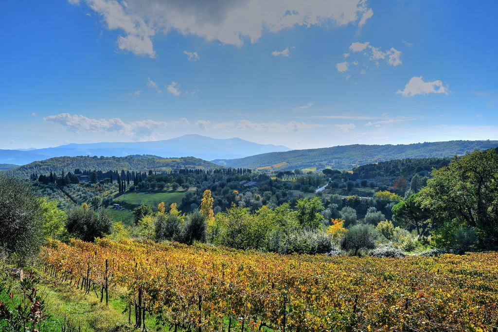 Agriturismo Fraschetta Montalcino Kültér fotó