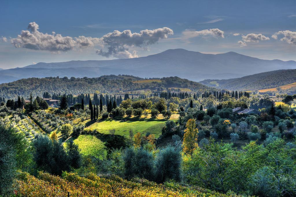Agriturismo Fraschetta Montalcino Kültér fotó