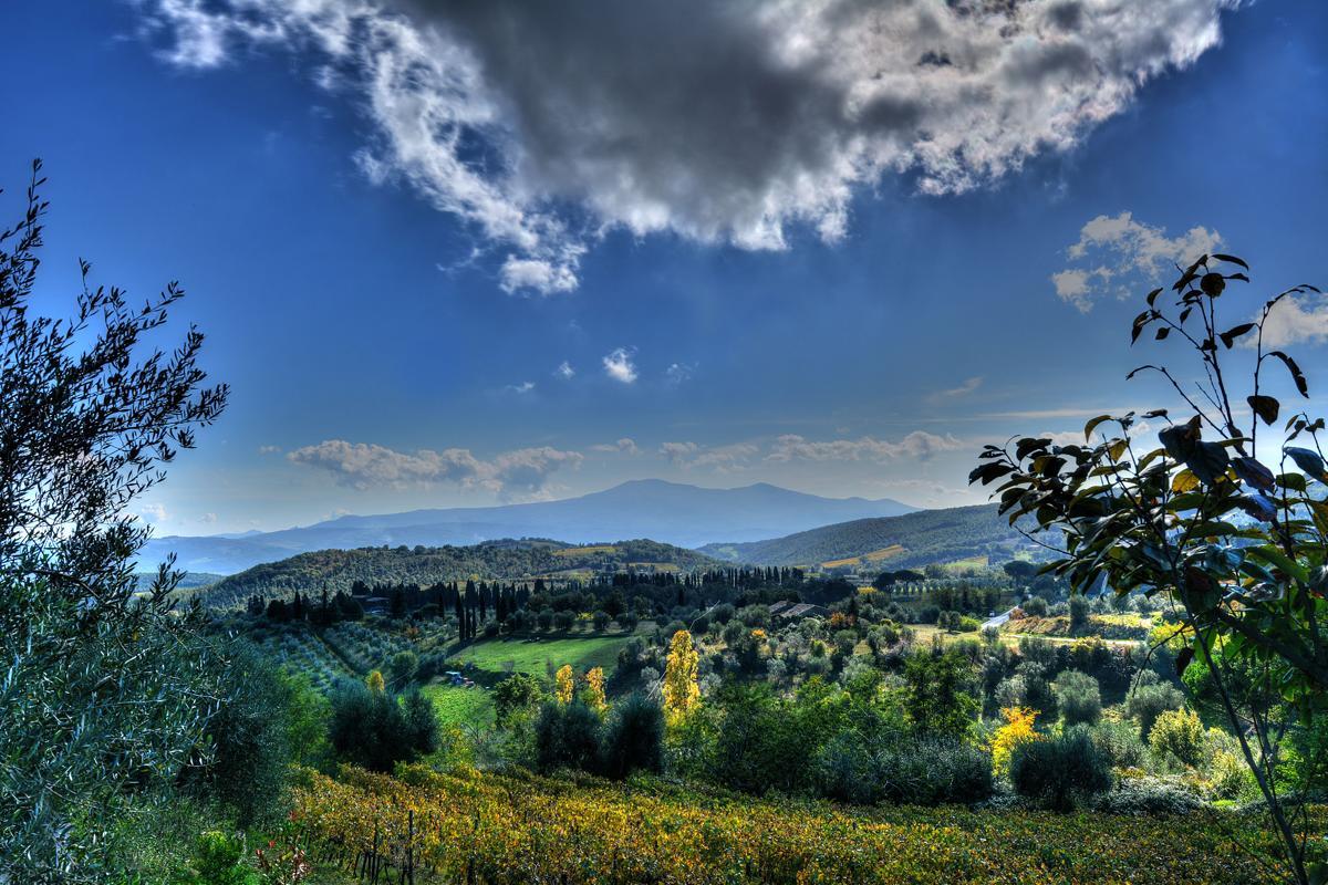 Agriturismo Fraschetta Montalcino Kültér fotó